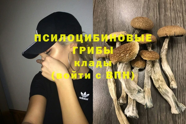 прущие крисы Алексеевка