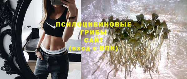 прущие крисы Алексеевка