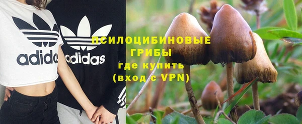 не бодяженный Алзамай