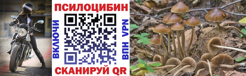 кракен рабочий сайт  Крымск  Галлюциногенные грибы прущие грибы  наркота 